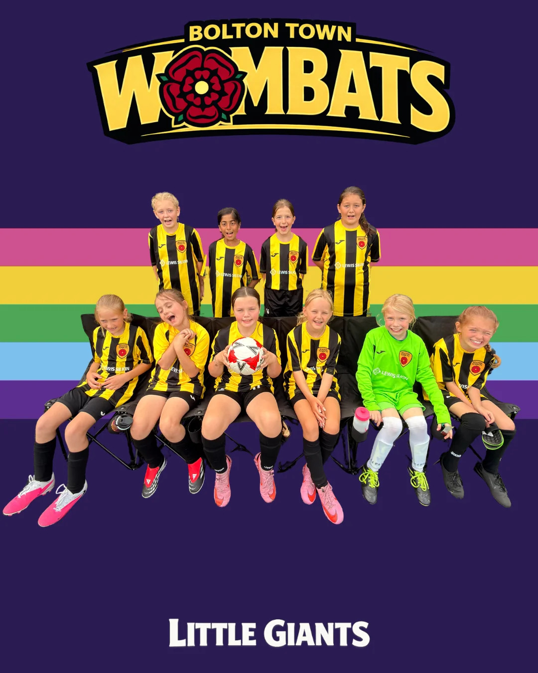 Wombats highlight photograph 01